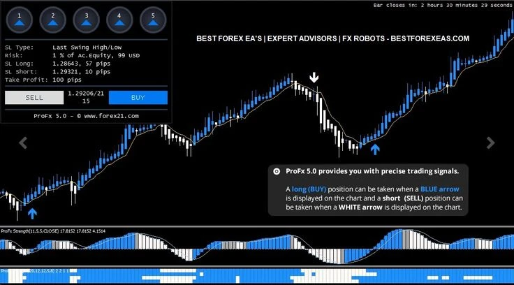 Master scalper forex roboto apžvalga