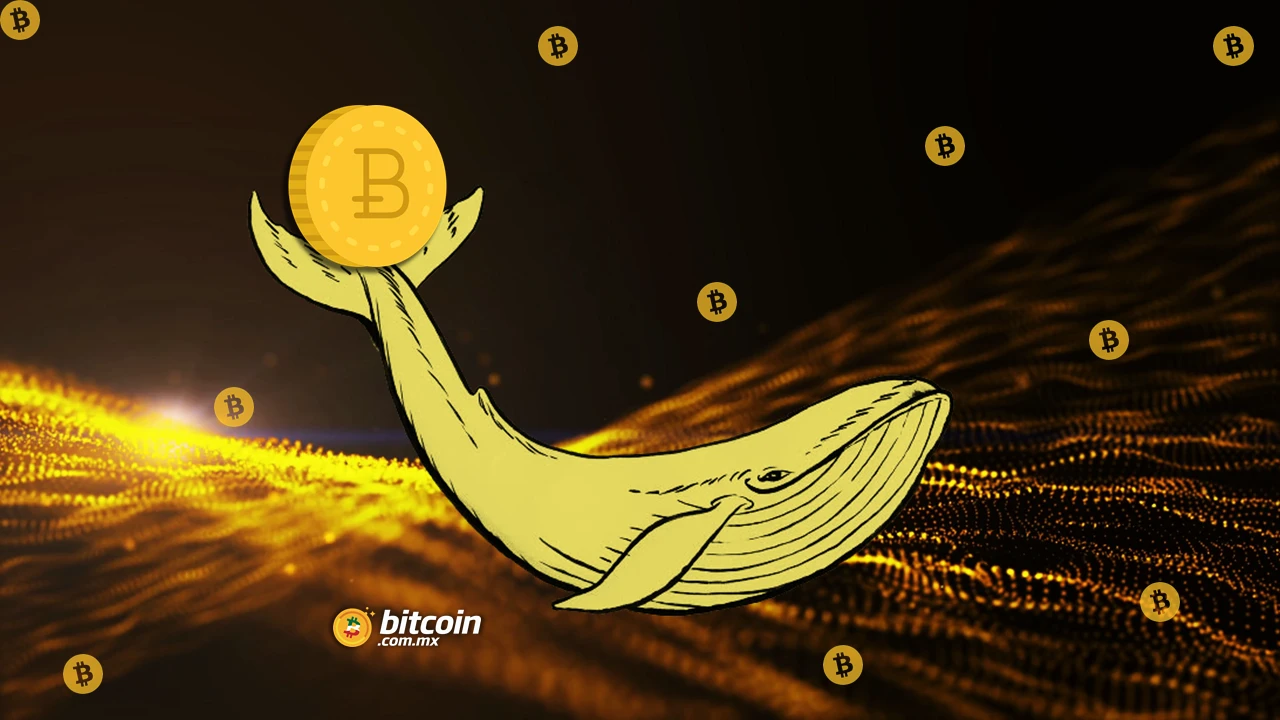 bitcoin prekybininko loto louta