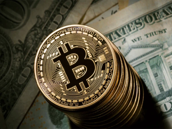 bitcoin prekybininkas filip hamaras)