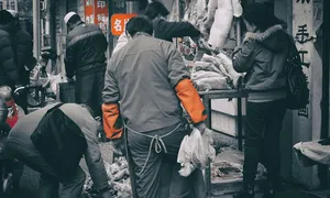 1 minutės dvejetainių opcionų prekyba)