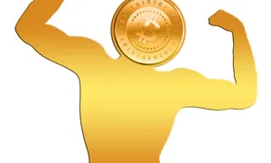 super investuoti į bitcoin)