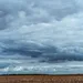 prekyba altkoinais bitcoin arba ethereum
