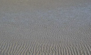 kriptovaliutų investuoti į ripple)