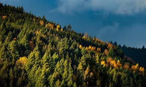 kaip gauti pinigų koledžui su blogu kreditu)
