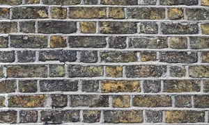 kaip interneto archyvas uždirba pinigus)