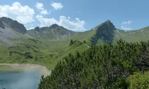 dvejetainiai brokeriai JAV)