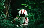 Robotas apie dvejetainius variantus