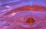 ripple arba bitcoin investicija