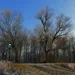 kaip aš galiu šiandien greitai užsidirbti daug pinigų