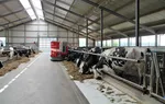 Ar tikrai veikia kriptovaliutų prekybos robotai?