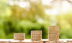 Kriptovaliutos kaip investicija - Gaukpaskola