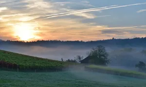 kriptovaliuta aukštumoje)