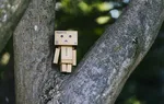 iš pinigų dvejetainių opcionų robotas