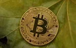 Bitcoin milijonieriumi per tapo. Tapo milijonieriumi su bitkoinu