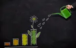 Investavimas į Kriptovaliutas: Kaip Nusipirkti Bitcoin, Etherium?