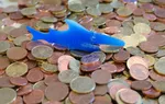 Bitcoin aussie sistemos apžvalga shark bakas, „Roidmi RS60“ belaidžio dulkių apžvalga