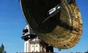 dvejetainiai opcionai yra teisėti