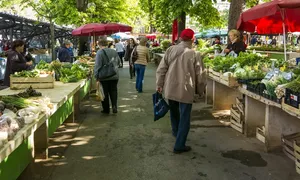 kriptovaliutų prekyba Estijoje)