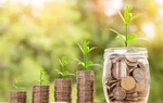 Kaip pradedančiajam užsidirbti pinigų internete be investicijų