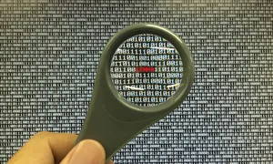 auksinio vėžlio forex prekybos sistema)