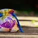 Forex prekybos svetainės be indėlių premijos