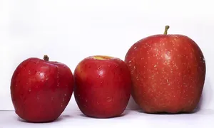 ką žinoti prieš investuojant į kriptovaliutų erdvę)