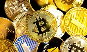 bitcoin pelnas lena meyer-landrut)