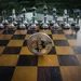 mažmeninės prekybos bitcoin ateities sandoriai