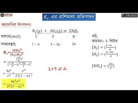 Forex metaprekybininkas