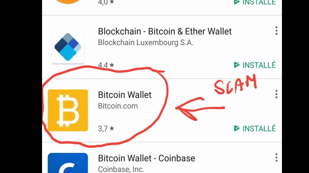bitcoin pelno schema