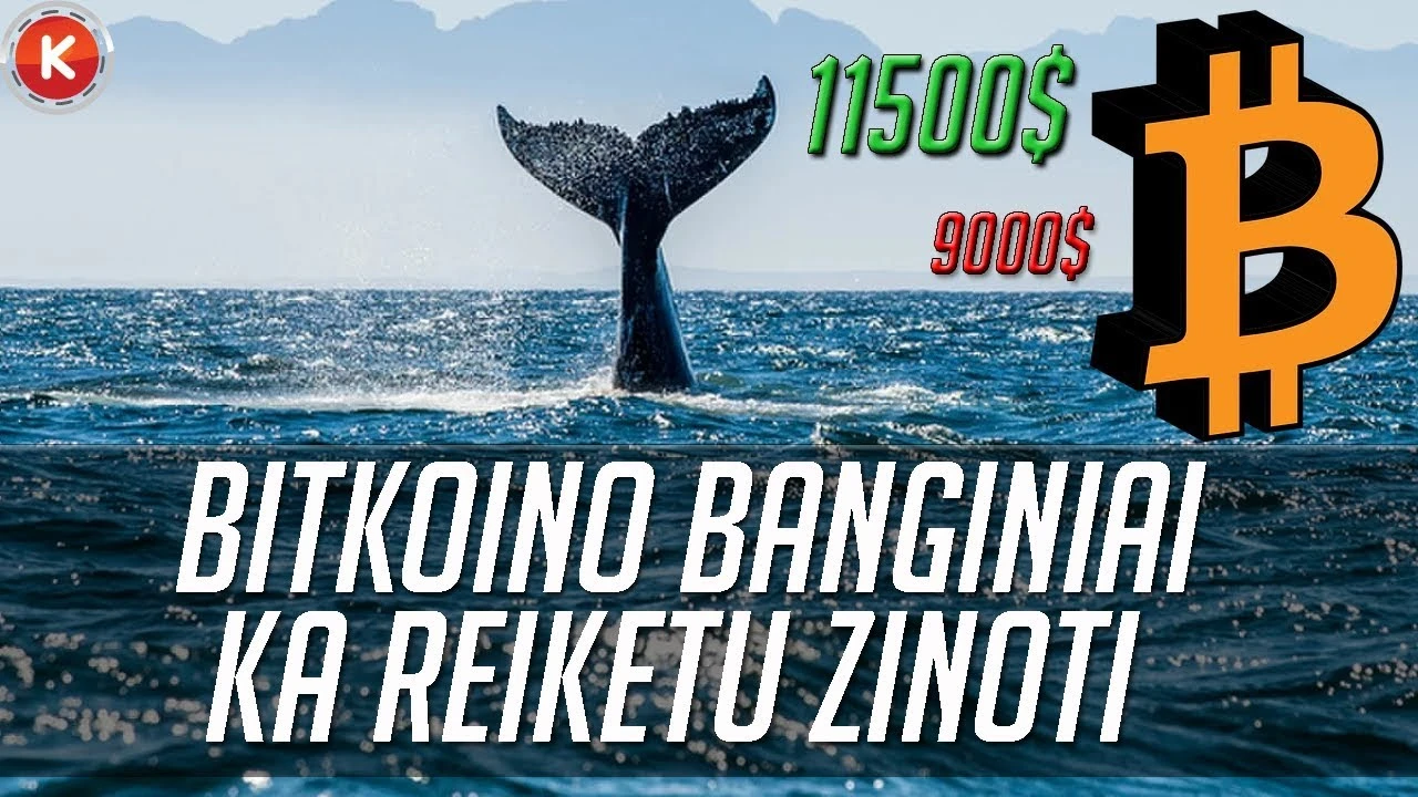 kaip banginiai veikia prekiaujant kriptovaliutomis)