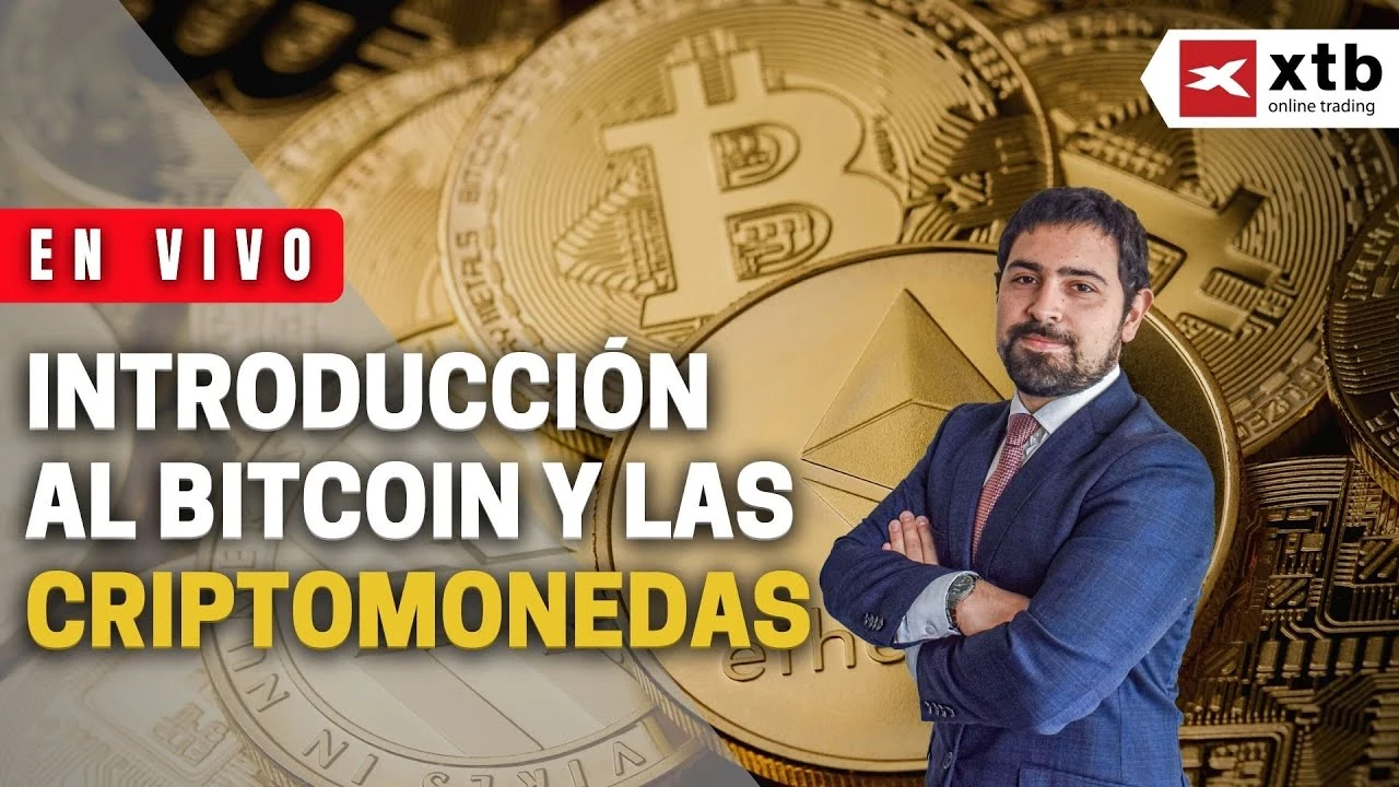 investuoti tik į bitcoin ir ethereum