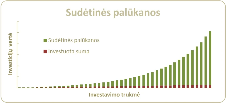 kur investuoti pinigus ilgam laikui