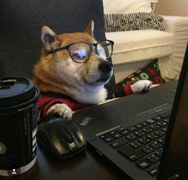 auksinio vėžlio forex prekybos sistema