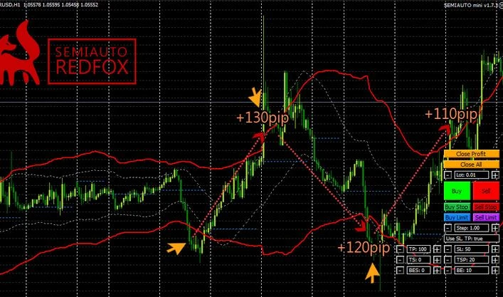 kaip investuoti į bitcoin ir ripple