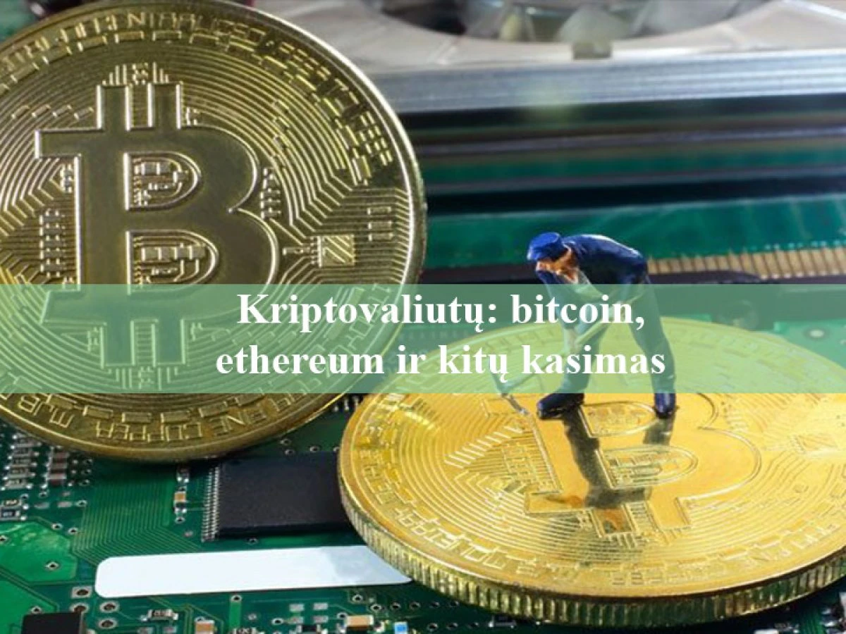 kaip investuoti į motininę kriptovaliutą)