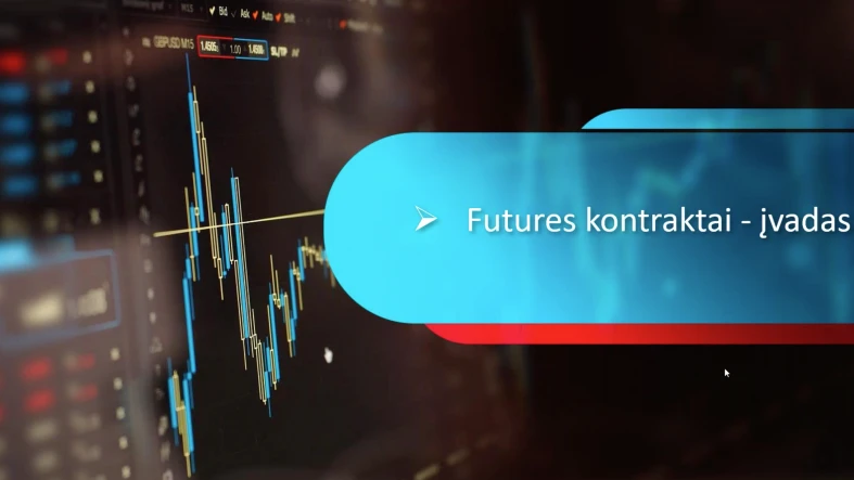 ateities sandorių apskaitos programinė įranga)