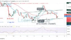 išmokite kasdien prekiauti Forex